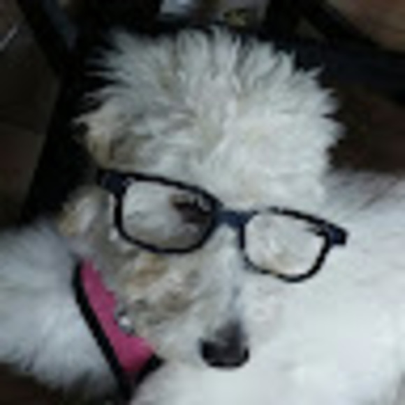 Meet your Posher, Ava - Picture 1 of 1